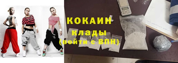 дживик Верхний Тагил