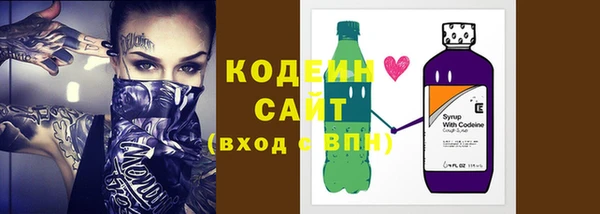 дживик Верхний Тагил