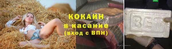 дживик Верхний Тагил