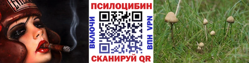 Псилоцибиновые грибы ЛСД Заволжье