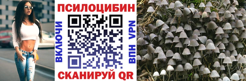 Галлюциногенные грибы прущие грибы  цены   Заволжье 